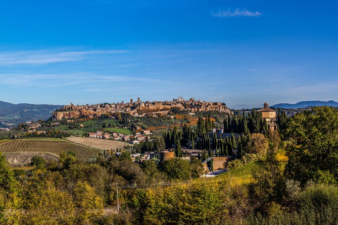 Orvieto and Civita di Bagnoregio Tour from Rome - Who should book this tour, and who should adjust expectations