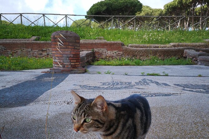 Ostia Antica Archaeological Park with Italian Gelato - Morning Logistics: How the Meeting Point Works and How to Get There