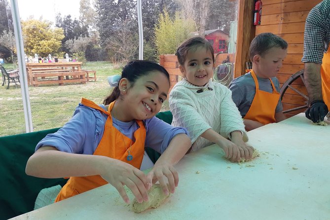Pasta and Pizza Master Class and Tiramisu tasting - Value Check: Why $74.34 Can Make Sense in Rome