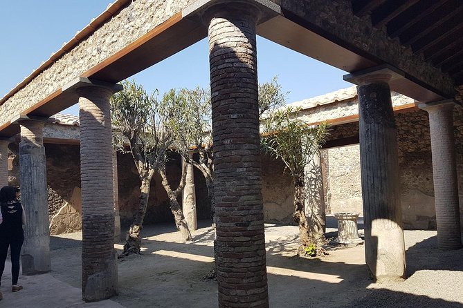 Pompeii and Naples from Rome: Small Group Day Tour with Lunch - Price and value: what you are really paying for at $280.82