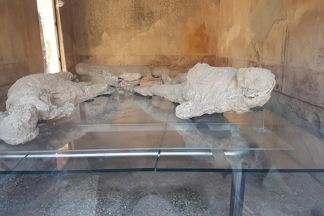 Pompeii and Naples from Rome: Small Group Day Tour with Lunch - Who should book this Pompeii and Naples day trip
