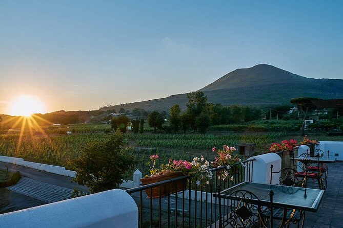 Pompeii and Naples from Rome: Small Group Day Tour with Lunch - The organic farm lunch break: wine tasting on the Vesuvius side