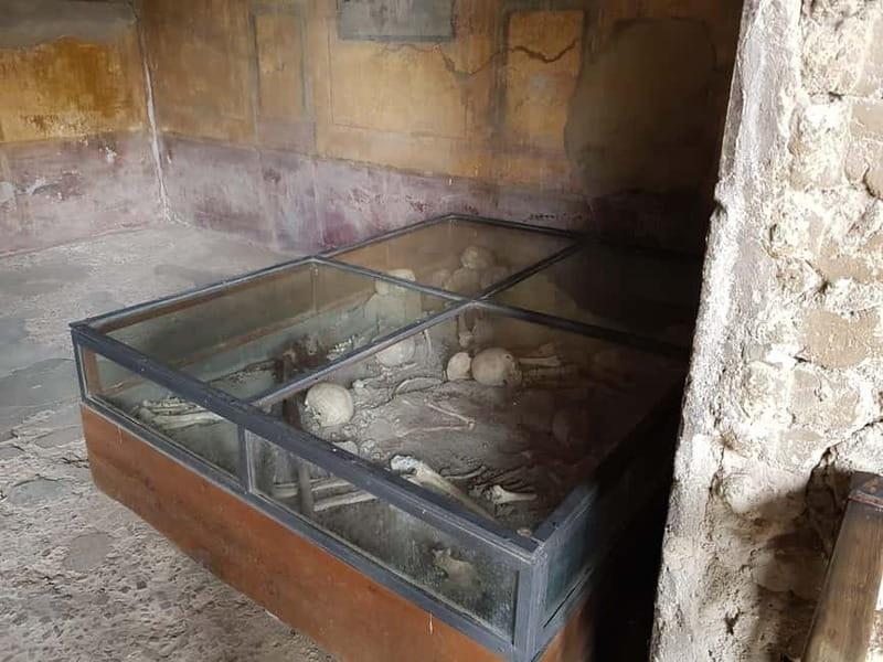 Pompeii: Entry Ticket w/ Guide and Transfers or Audio Guide - Pompeii in one day: guide vs audio, and why it matters