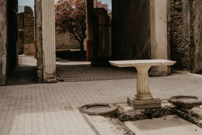 Pompeii Guided Tour with Train Included from Rome - The Naples-to-Pompeii train leg and the 40-minute momentum