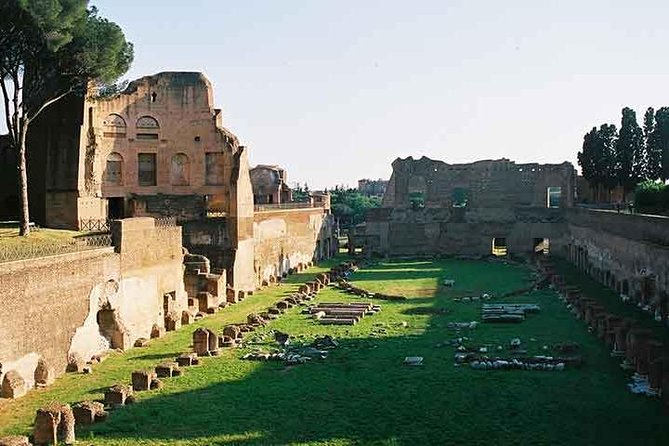 Pre/ Post Cruise Rome Private Tour From Civitavecchia Port - St. Peter’s Square viewpoints and the Pope’s window