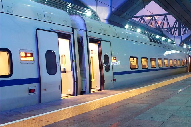 Private Arrival Transfer: Rome Train Station to Hotel - Picking Up Your Driver at Termini or Tiburtina