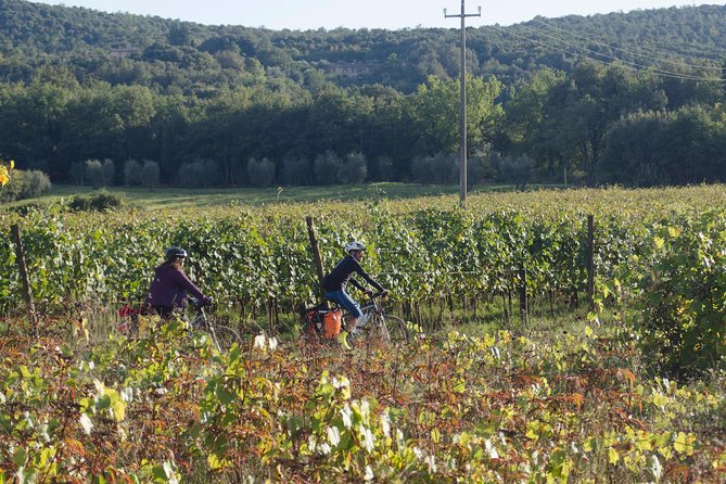 PRIVATE Civita di Bagnoregio and Orvieto Wine Tasting -Ebike tour - Wine Tasting Dinner in Orvieto, With Food You Actually Want