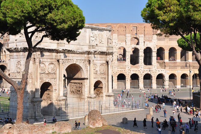 PRIVATE Colosseum, Roman Forum and Palatine Hill tour - Stop 2: Palatine Hill and the Romulus and Remus angle