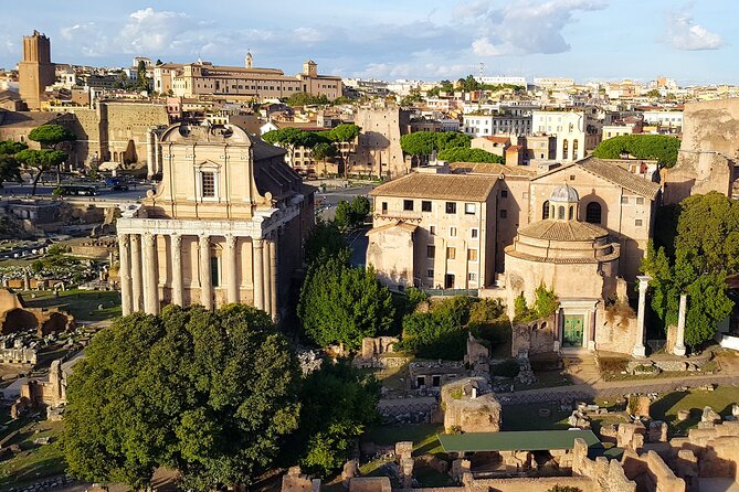 PRIVATE Colosseum, Roman Forum and Palatine Hill tour - The guide experience: licensed, English, and built for questions