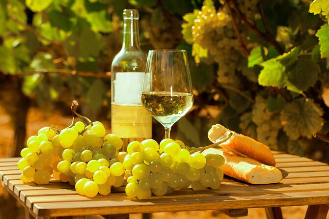 Private Double Wine Tasting Tour in Frascati - Exclusive - Quick hits before you go