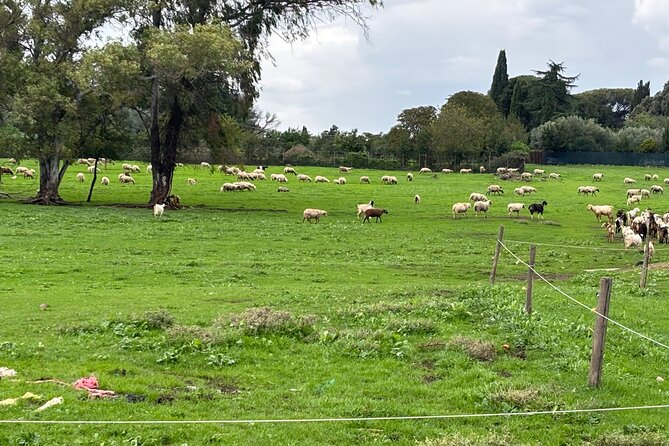 Private E-bike tour of Appian way, Aqueduct & catacombs with food - Porta San Sebastiano: starting at Rome’s best-preserved gate