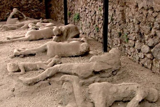 Private Guided Tour to Pompeii and Positano from Rome - Comfort and vehicle choice, car vs minivan