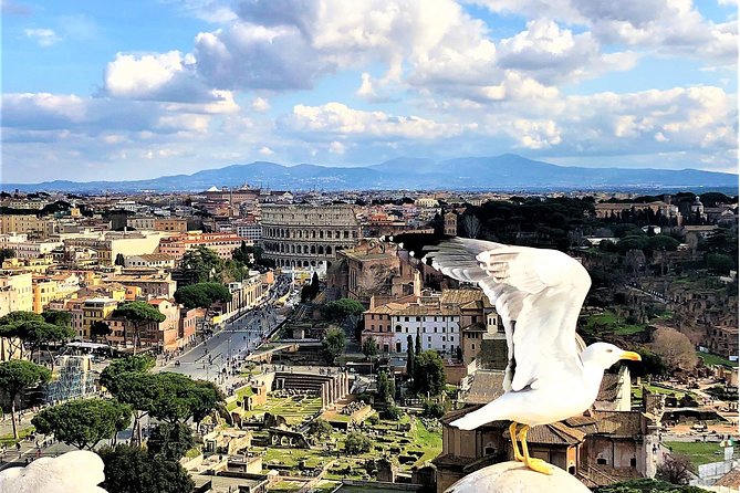 Private Rome WOW Tour in 1 Day: Luxury Car, Guide, Tkts & Lunch! - Hotel pickup, port pickup, and the rhythm of a one-day Rome plan