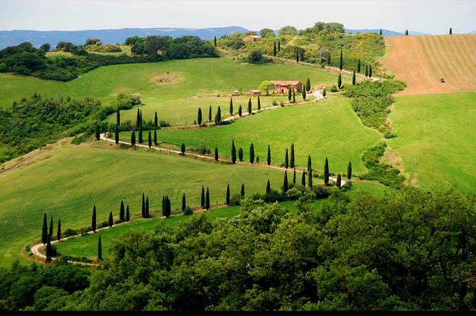 Private Siena and San Gimignano Tour with Wine Tasting From Rome - Private Vehicle, Live Commentary, and Small-Group Comfort