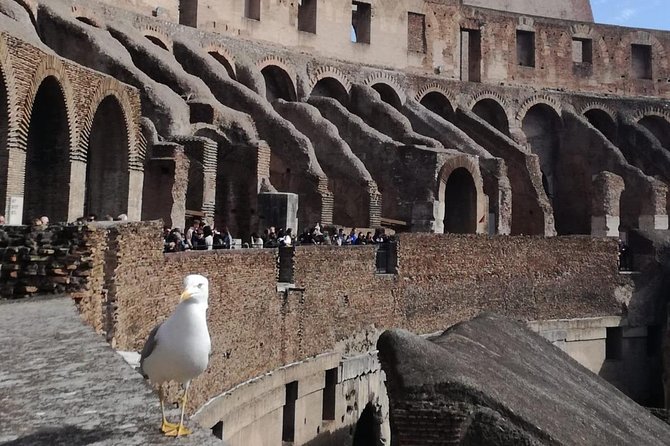 Private tour of Colosseo - Meet at Piazza del Colosseo, 21, then get oriented quickly