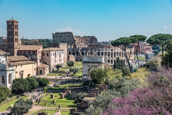 Private Tour of the Colosseum with Roman Forum & Palatine Hill - Getting in smoothly, meeting points, and what to bring