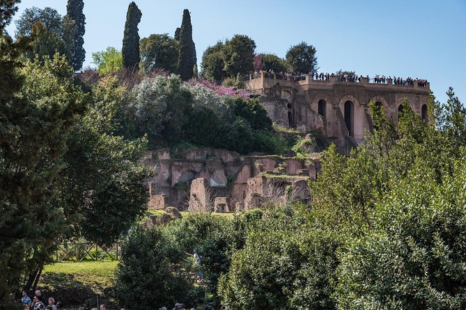 Private Tour of the Colosseum with Roman Forum & Palatine Hill - Price and value for a private Colosseum experience