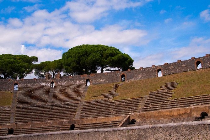 Private Tour: Pompeii Ruins from Rome in a Day - The Pompeii ruins stop: what a 2-hour private guide gets you