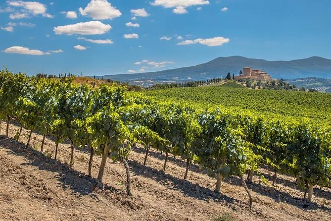 Private: Tuscany Day Tour from Rome with Optional Wine Tasting - Montalcino in the Afternoon: Brunello Capital and Fortezza Option