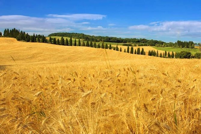 Private: Tuscany Day Tour from Rome with Optional Wine Tasting - Timing, Walking, and What to Wear for a 10 to 11 Hour Day