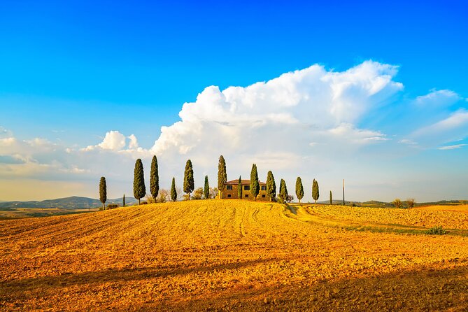 Private Tuscany Wine Country Day Trip from Rome with Lunch - Why this private Rome to Tuscany day trip feels easier than you expect