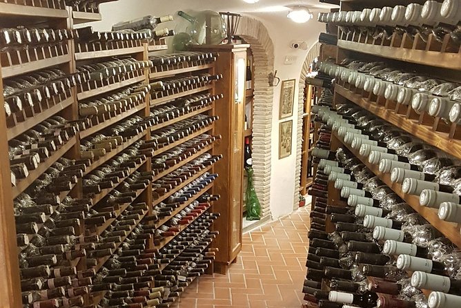 Roman Countryside: Wine and Food Tasting, Semi-Private Day Tour - Castel Gandolfo and Lake Albano: Porchetta and Wine by the Water