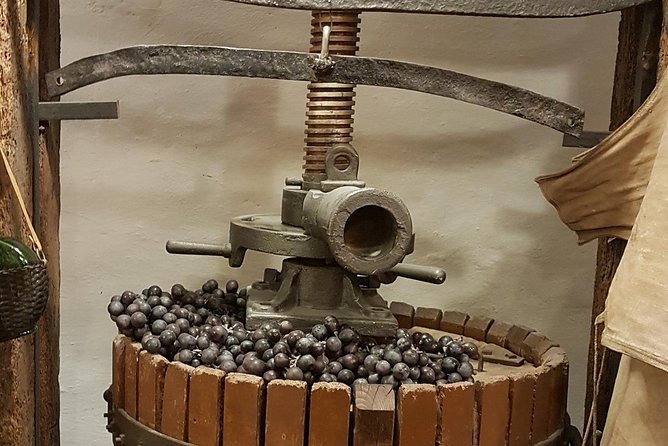 Roman Countryside: Wine and Food Tasting, Semi-Private Day Tour - Nemi and the Lake Town Feel: Strawberry Season and Roman Ships