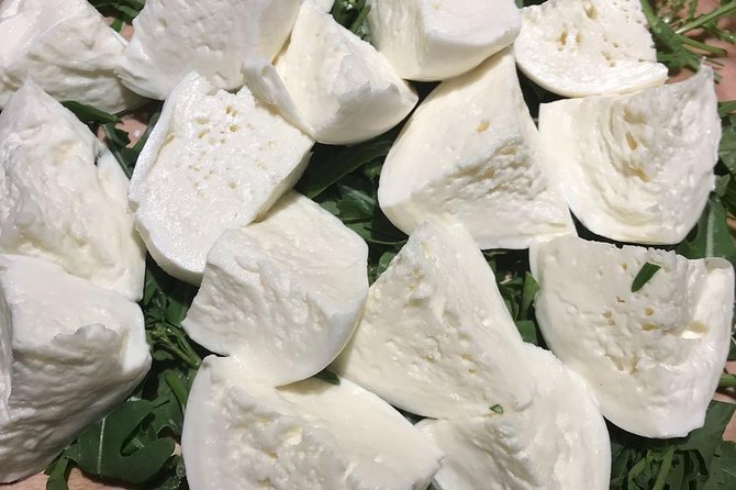 Roman Food Tour with Visit to the Trionfale Food Market - Price and logistics that affect your day more than you think