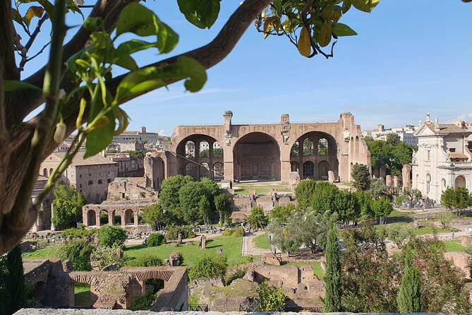 Roman Forum and Palatine Hill Access - Roman Forum: temples, politics, and the thrill of walking in layers