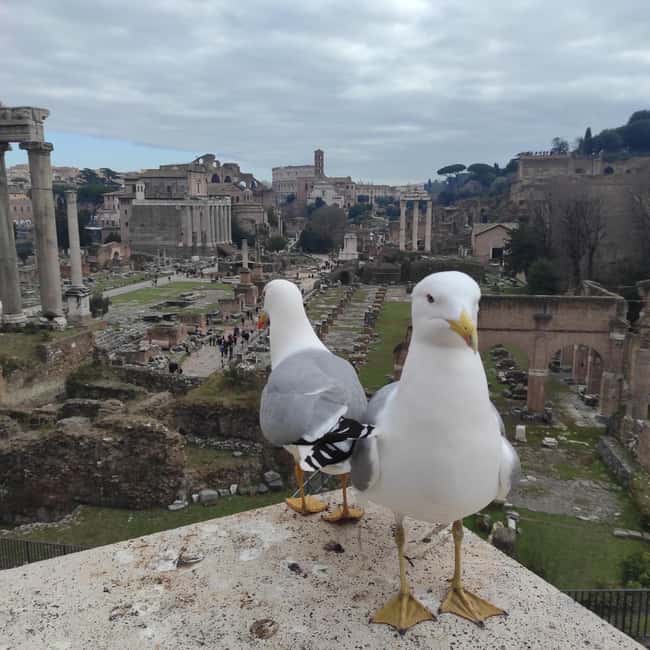 Rome: 4-Hour Private Tour with Driver - Price and Value: Is $105 per Person Worth It?