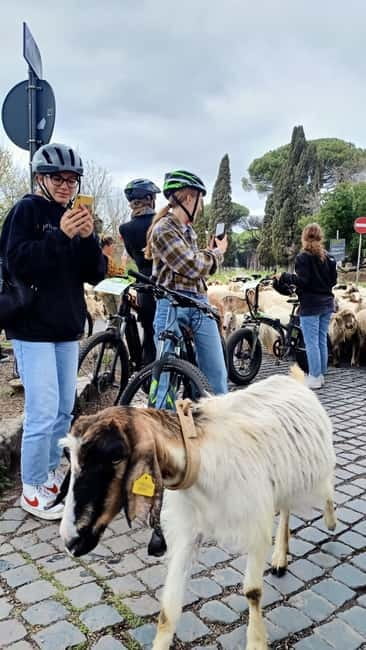 Rome: Appian Way, Aqueducts, & Catacombs E-Bike Guided Tour - Parco degli Acquedotti: Aqueduct Arches Up Close