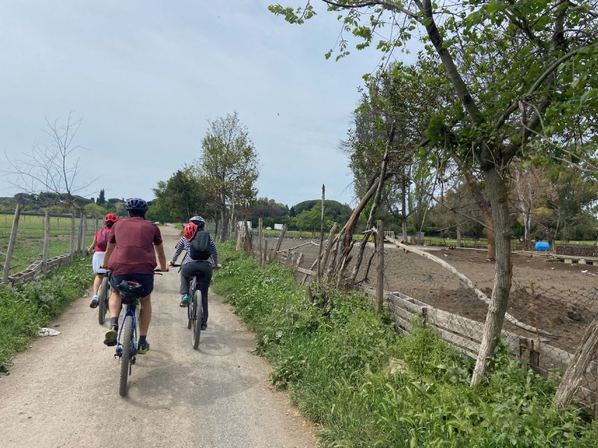 Rome: Appian Way Guided Tour on E-Bike with italian Aperitif - Price and what you are really paying for (at $81 per person)