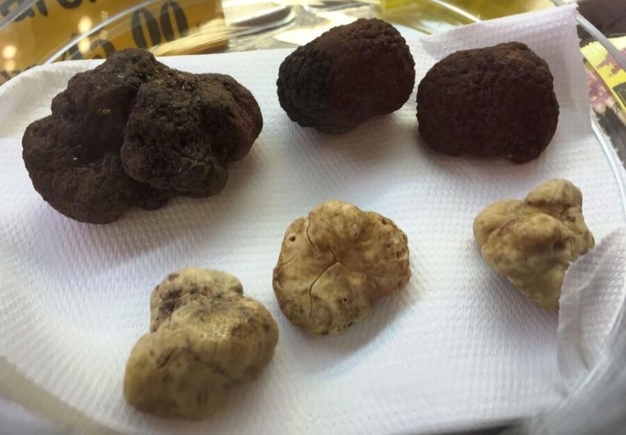 Rome: Award-Winning Roman Food Tours - Price and value: why $17 for Roman food and wine can work