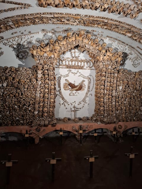 Rome: Bone Crypts Express - Tour in ENGLISH with tickets - What You Actually See in the Capuchin Crypts