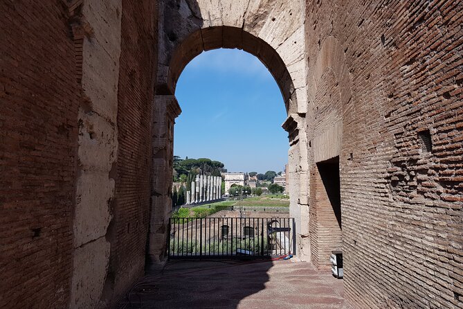 ROME:Colosseum & Ancient Rome - private/small group TOUR - Quick snapshot: what you get in about 2.5 hours