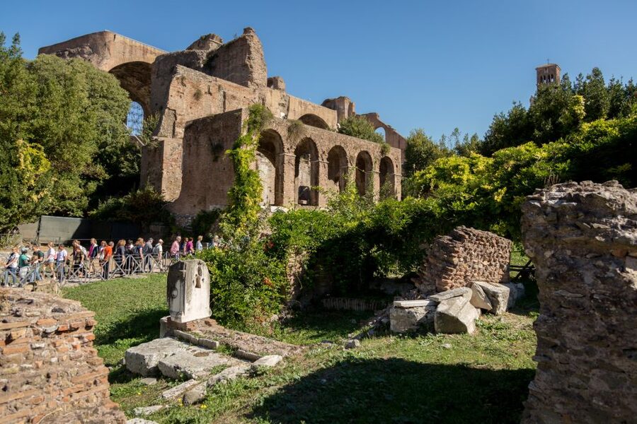 Rome: Colosseum, Forum and Palatine Hill Private Guided Tour - Palatine Hill: the legend of Romulus and Remus, plus the imperial ruins