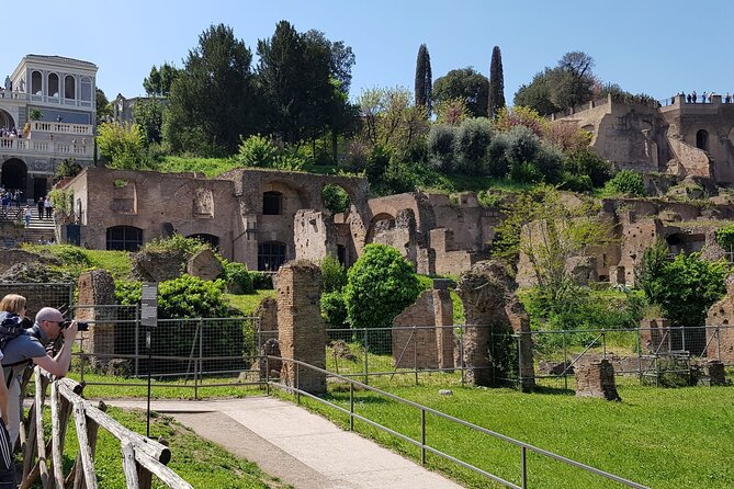 Rome: Colosseum, Palatine Hill and Roman Forum Guided Tour - Standing in the Central Roman Forum: Curia and Major Landmarks