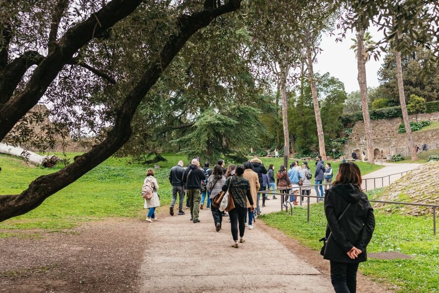 Rome: Colosseum, Palatine Hill & Roman Forum Guided Tour - Booking Value: What You’re Really Paying For at $51