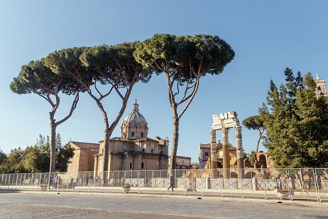 Rome Colosseum PRIVATE TOUR with a Local Private Guide - From Upper Tiers to the Arena Floor, What You’ll Actually See