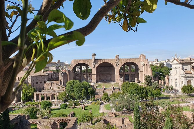 Rome: Colosseum, Roman Forum & Palatine Hill Experience - From the Colosseum to the Roman Forum: switching modes on purpose