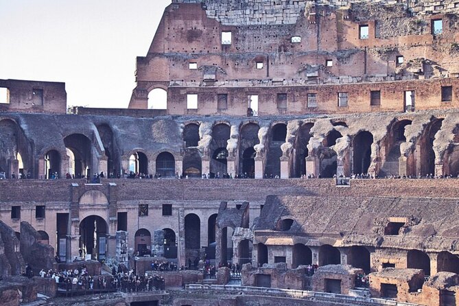 Rome Colosseum, Roman Forum & Palatine Official Visit - Meeting Point, Host Setup, and the Real-World Logistics