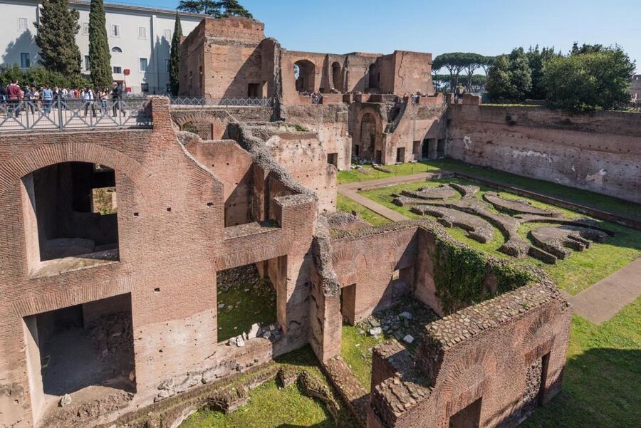 Rome: Colosseum with Arena Floor, Forum & Palatine Hill Tour - Colosseum arena floor: walking the gladiator staging area