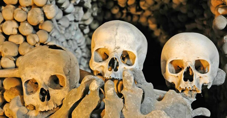 Rome: Dark Past Walking Tour with Capuchin Crypt Ticket - Trevi Fountain Stop: The Wish, the Myth, and the Crowd Plan