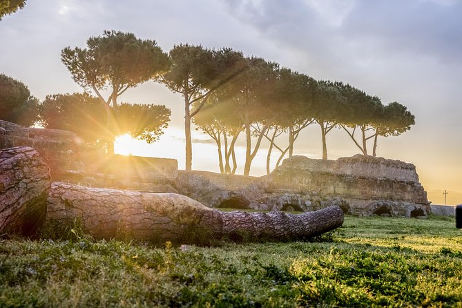 Rome E-Bike Small Group Tour of the Appian Way with Private Option - Villa di Massenzio, Temple of Romulus, and Villa dei Quintilii