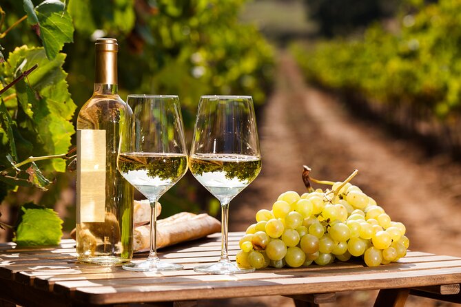 Rome: Frascati Private Day Trip - Town Tour, Lunch & Wine Tasting - Why Frascati Works as a Rome Escape