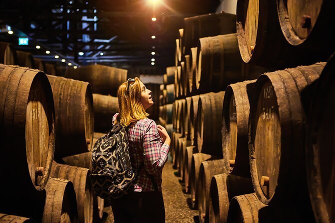 Rome: Frascati Private Day Trip - Town Tour, Lunch & Wine Tasting - The Vineyard Day Part: 128 Acres, Olive Groves, and a Cave