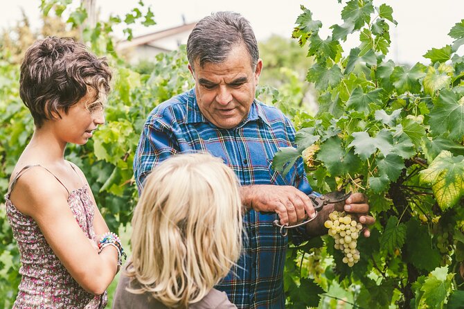 Rome: Frascati Private Day Trip - Town Tour, Lunch & Wine Tasting - Italian Lunch in Frascati: The Full Option Upgrade