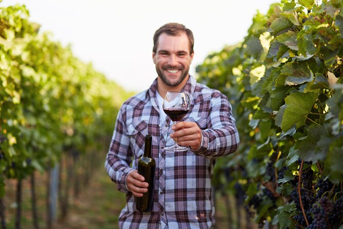 Rome: Frascati Private Day Trip - Town Tour, Lunch & Wine Tasting - Roma Termini Meet Point and Getting Out of the City