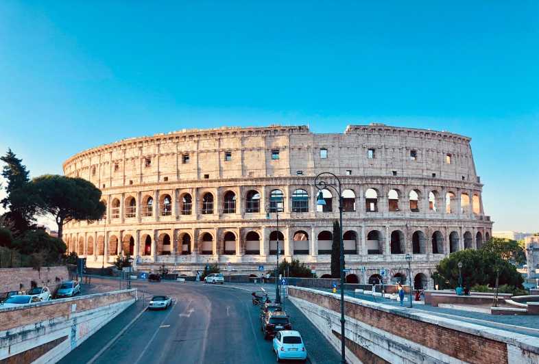 Rome: Guided Colosseum Underground Tour - Descending for 1 Hour: What You Actually See Underground