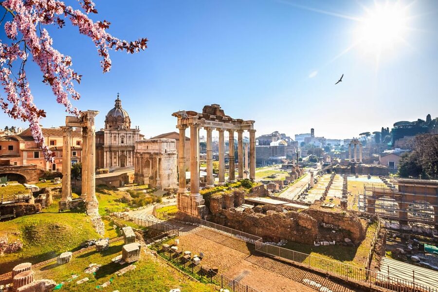 Rome: Guided Tour of Colosseum and Ancient Rome - The Colosseum floor plan, explained like a story